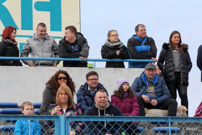 Byki na torze! ( zdjęcia)