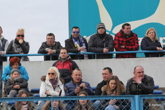 Byki na torze! ( zdjęcia)