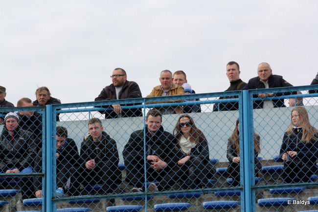 Byki na torze! ( zdjęcia)