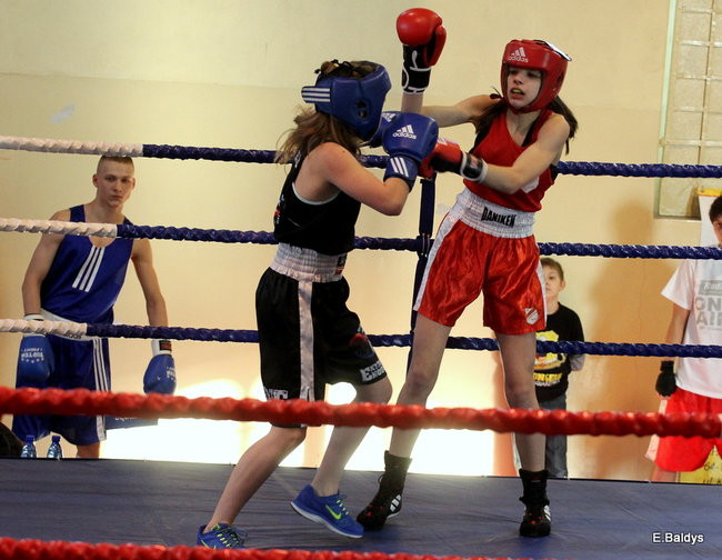Boksowali na Ćwiczni