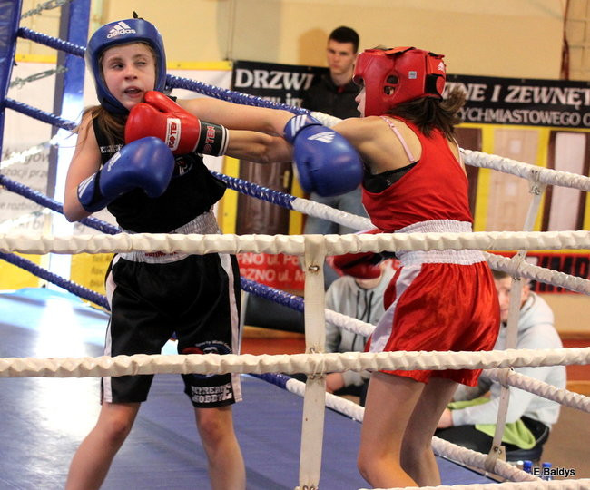Boksowali na Ćwiczni