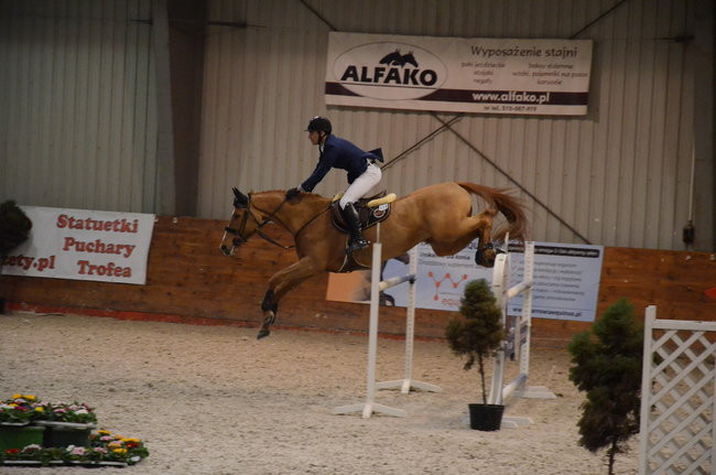 Grand Prix dla Czecha (zdjęcia)