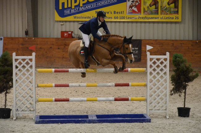 Grand Prix dla Czecha (zdjęcia)