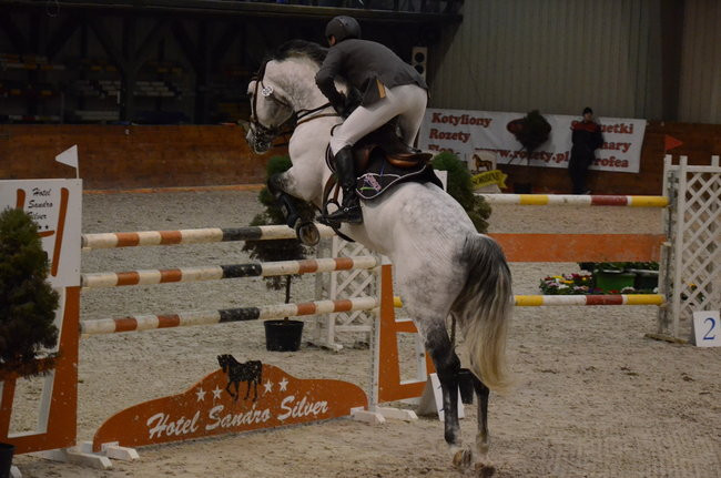 Grand Prix dla Czecha (zdjęcia)