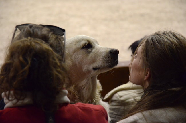 Grand Prix dla Czecha (zdjęcia)