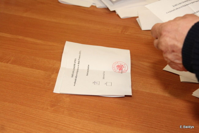 Wybory sołeckie w Kąkolewie (zdjęcia)