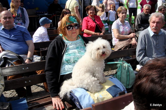 Szlifowanie ożywiło Starówkę (zdjęcia)