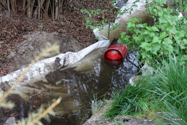 Pożar stolarni we Włoszakowicach (zdjęcia)