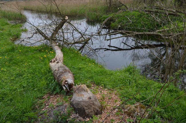 10 kilometrów śladami Bartka z Piekła (zdjęcia)