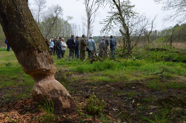 10 kilometrów śladami Bartka z Piekła (zdjęcia)