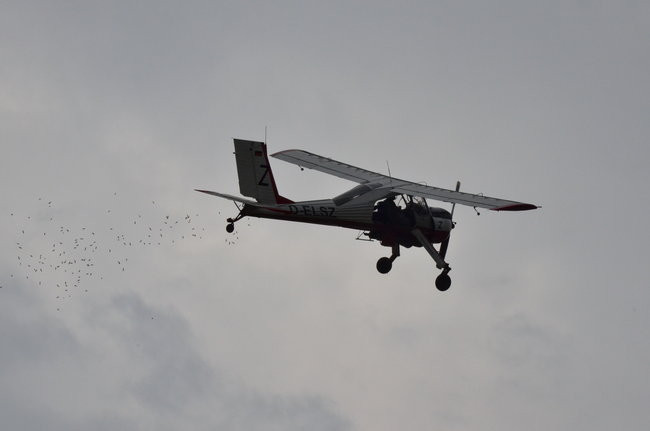 Magdalena Ogórek na Majówce z ABC