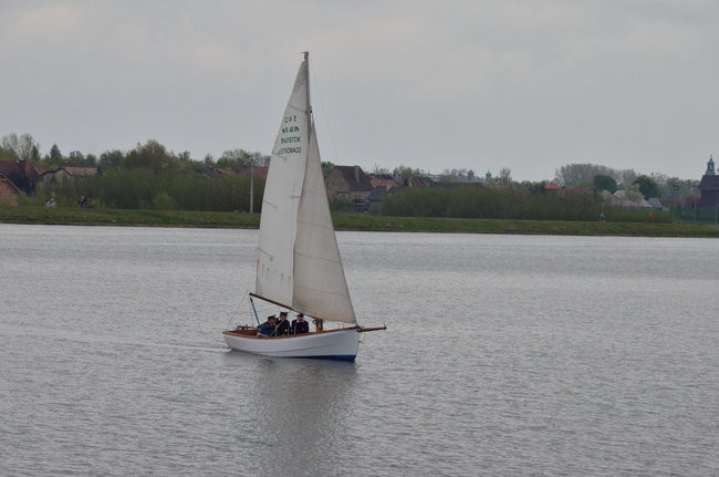 Magdalena Ogórek na Majówce z ABC