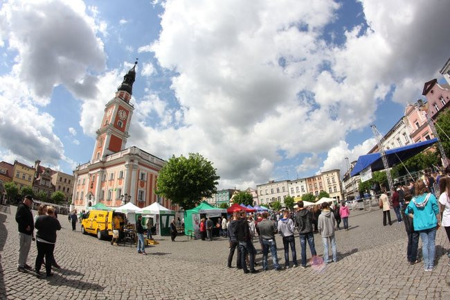 Gimnazjalisto - wybierz zawód ( zdjęcia)
