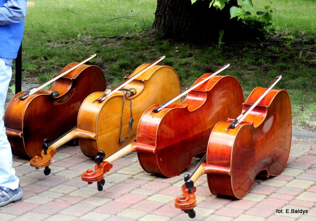 5 Muzyczna Majówka (zdjęcia)