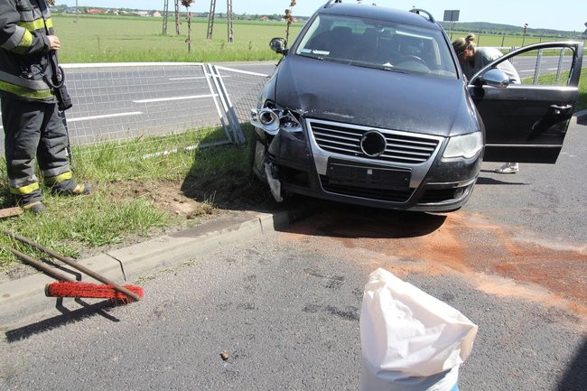 Zatrzymała się na barierkach (kilka zdjęć)