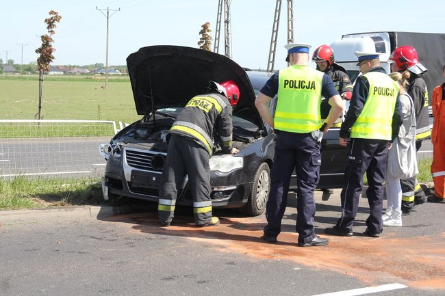 Zatrzymała się na barierkach (kilka zdjęć)