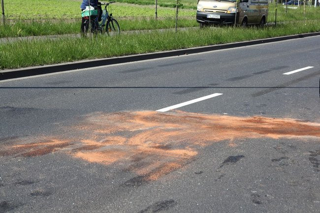 Zatrzymała się na barierkach (kilka zdjęć)