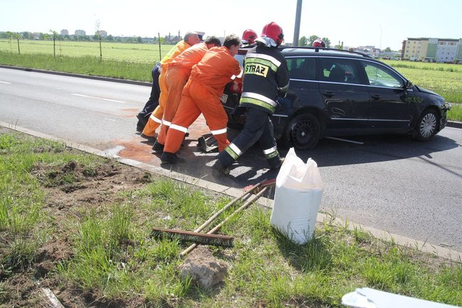 Zatrzymała się na barierkach (kilka zdjęć)