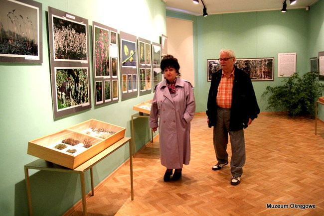 Nocne zwiedzanie Muzeum i Galerii (zdjęcia)