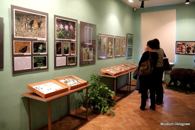 Nocne zwiedzanie Muzeum i Galerii (zdjęcia)