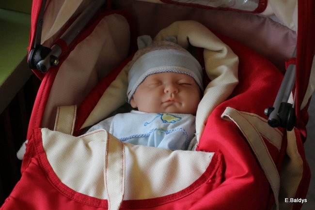 II Festiwal Nauki w PM 8 (zdjęcia)