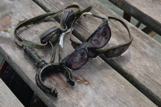 Boszkowo znów czyste (zdjęcia)