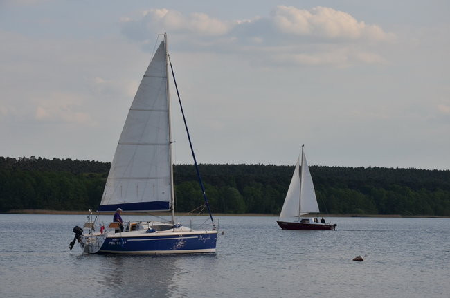 Boszkowo znów czyste (zdjęcia)