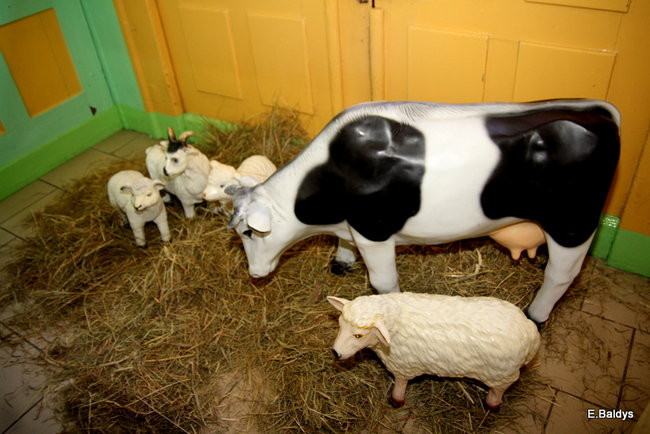 Europa w Siódemce (zdjęcia)