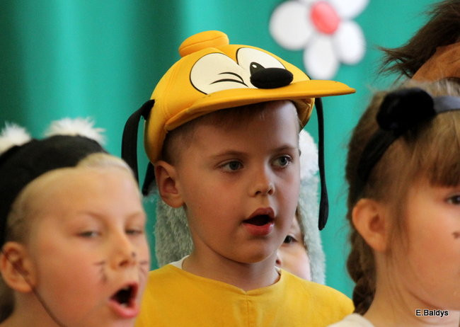 Europa w Siódemce (zdjęcia)