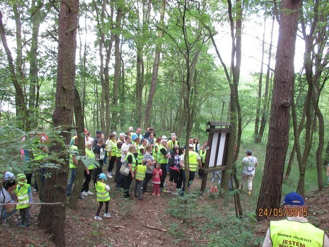 Siedemnaście kilometrów wśród pól i lasów (zdjęcia)