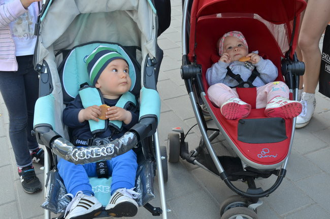 Piknik w Wodociągach (zdjęcia)