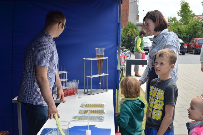 Piknik w Wodociągach (zdjęcia)