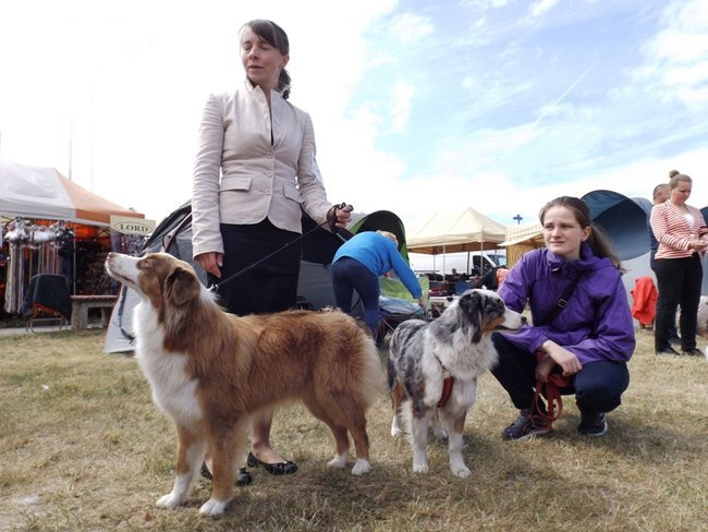 Wielki sukces małego pekińczyka (zdjęcia)