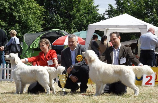 Wielki sukces małego pekińczyka (zdjęcia)