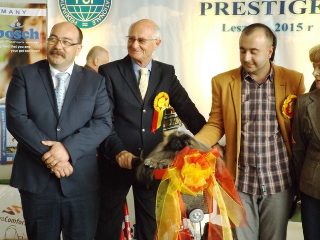 Wielki sukces małego pekińczyka (zdjęcia)