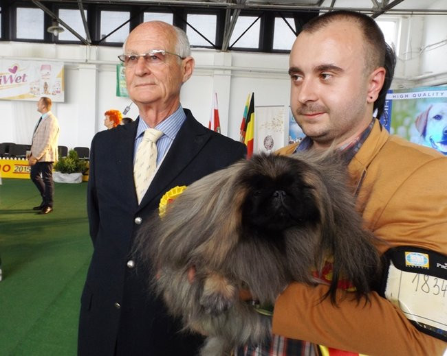 Wielki sukces małego pekińczyka (zdjęcia)