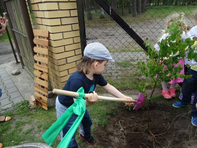 Dzień Dziecka w Przedszkolu nr 15 (zdjęcia)