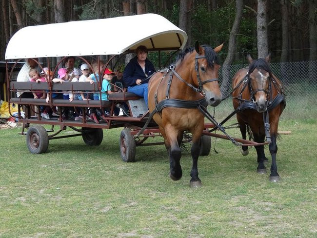 Dzień Dziecka w Przedszkolu nr 15 (zdjęcia)