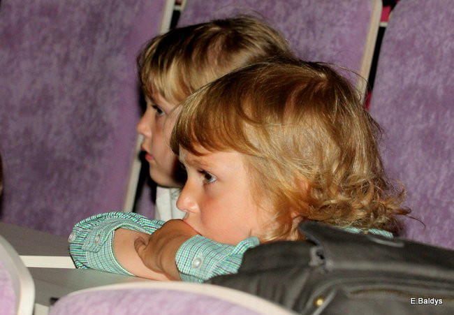 Brzydkie Kaczątko w auli PWSZ (zdjęcia)