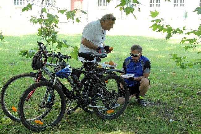 Pod drzewem odpoczynek (zdjęcia)