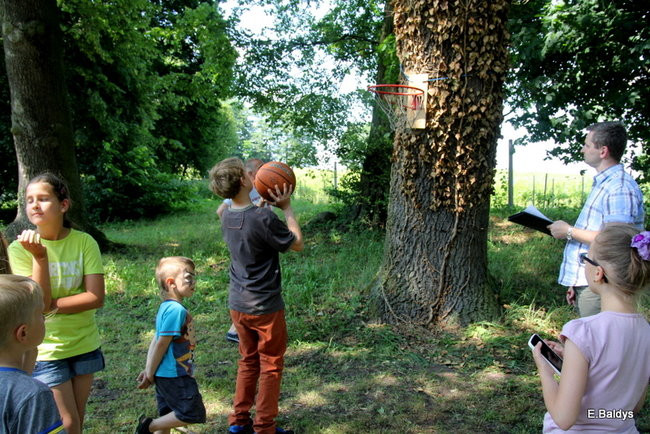 Niedziela z LOB-em (zdjęcia)