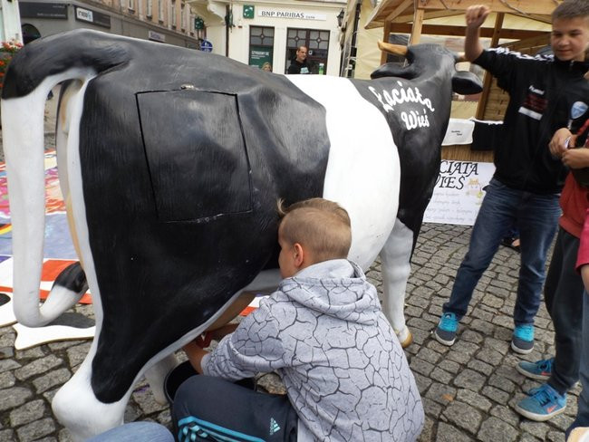 Jarmark społeczników (zdjęcia)