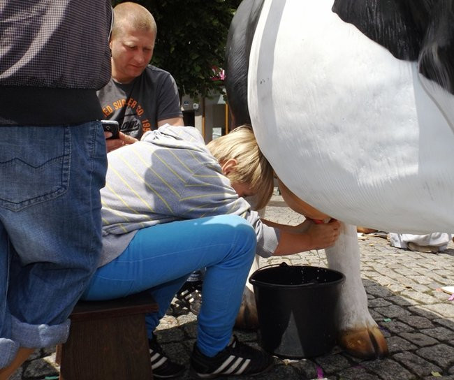 Jarmark społeczników (zdjęcia)