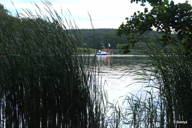 Tłumy na Wiankach w Osiecznej (zdjęcia)