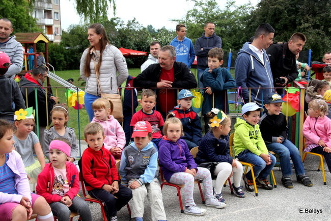 Festyn Rodzinny w Pawłowicach (zdjęcia)