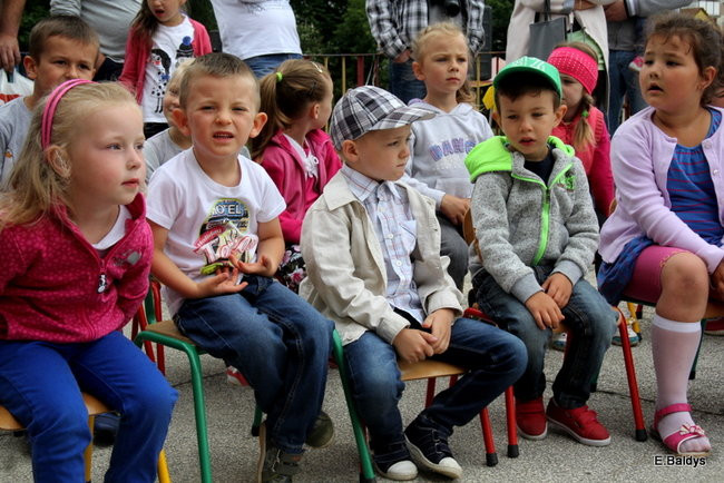 Festyn Rodzinny w Pawłowicach (zdjęcia)