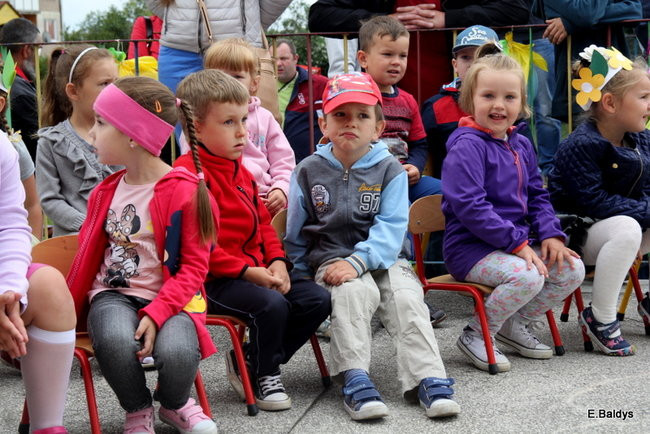 Festyn Rodzinny w Pawłowicach (zdjęcia)