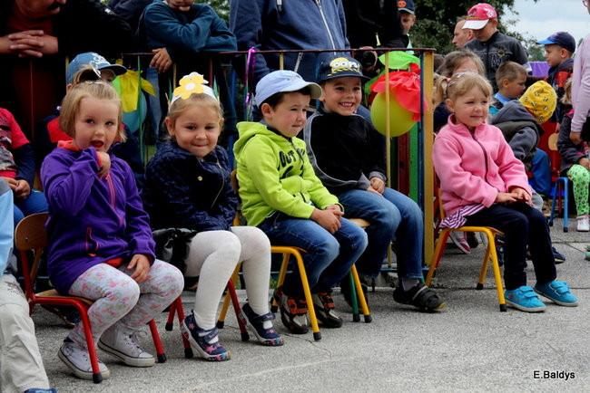 Festyn Rodzinny w Pawłowicach (zdjęcia)