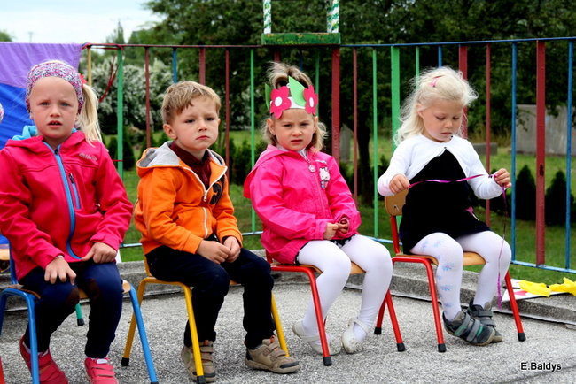 Festyn Rodzinny w Pawłowicach (zdjęcia)