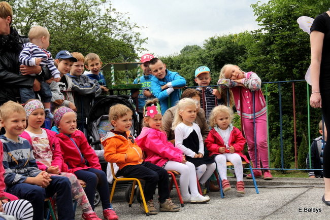 Festyn Rodzinny w Pawłowicach (zdjęcia)